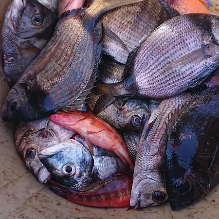 El Cambaral Del Puerto Appartamento