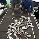El Cambaral Del Puerto Luarca