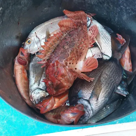 El Cambaral Del Puerto Apartment Luarca