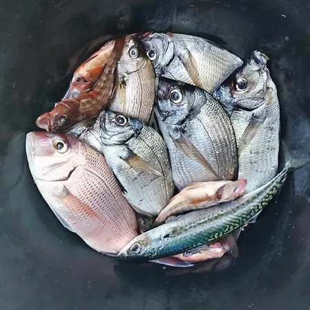 El Cambaral Del Puerto * Luarca